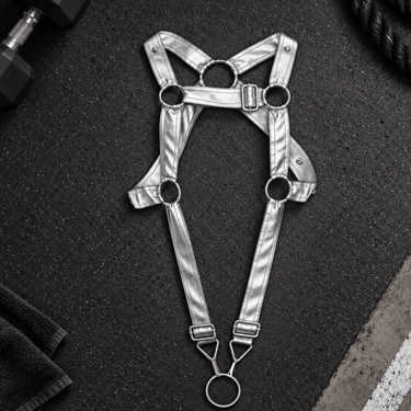DNGEON Cross C-ring Harness-DMBL07-SilverMirror-OS-2