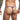 Justin + Simon Classic Tanga Fun Prints Final Sale-XSJ03-Pride-S-12