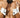 Mens Bowtie and Cuffs Only CandyMan 9646 - CandyMan_9646_Only Color_Only Size - 3