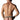 Jockstrap - Mens Go Wild Sport Jock Male Power 392 - 295 - S/M - Multi Animal - Male Power_392 - 295_Multi Animal_S/M - Male Power - 3