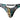 Thong - Mens Go Wild Thong with 2 Rings Male Power 439 - 295 - S/M - Multi Animal - Male Power_439 - 295_Multi Animal_S/M - Male Power - 4