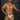 Bikini - Mens Jacquard Bikini Xtremen 91201 - S - White - Xtremen_91201_White_S - Xtremen - 9