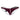 Jockstrap - Mens Jockstrap Roger Smuth RS018 - 1 - S - Burgundy - Roger Smuth_RS018 - 1_Burgundy_S - Roger Smuth - 5
