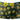 Trunk - Mens Petal Power Pouch Short Male Power 145 - 285 - S - Daisy Print - Male Power_145 - 285_Daisy Print_S - Male Power - 5