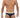 Mens Garter Mesh Briefs CandyMan 99722