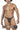 Mens 3PK Autralian Latin Thongs Clever 100008