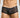 MOB Men's Sexy Sheer Hip Brief
