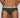 C-IN2 Brief 3313-068