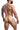 Harness - DNGEON CLASSIC CROSS HARNESS - Mamba - OS - DMBL12 - Mamba - OS - DNGEON - 4