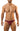 Brief - Joe Snyder Print Bikini Classic - Wine - L - JS01 - Wine - L - Joe Snyder - 45