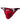 Joe Snyder Kini Red