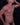 MOB Erotic Wear String Tulle Bikini Briefs in finely embroidered stretch mesh, offering a transparent and seductive look in various colors, designed for comfort, support, and a contemporary flair.