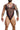 MOB Erotic men's lingerie featuring an all-over mesh design with a back thong, a handy front opening, available in multiple colors and made of comfortable Tulle Netting material.