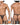 Mens 3PK Autralian Latin Thongs Clever 100008 - Clever_100008_Black - Orange - Black_S - 2