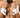 Mens Bowtie and Cuffs Only CandyMan 9646 - CandyMan_9646_Only Color_Only Size - 1