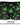 Mens Hazy Dayz Pouch Short Male Power 145 - 294 - Male Power_145 - 294_Mushrooms_S - 19