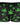Trunk - Mens Hazy Dayz Pouch Short Male Power 145 - 294 - S - Mushrooms - Male Power_145 - 294_Mushrooms_S - Male Power - 16