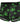 Mens Hazy Dayz Pouch Short Male Power 145 - 294 - Male Power_145 - 294_Mushrooms_S - 18