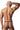 Cotume Outfit - Mens Novelty Blue Swallow Male Power PAK - 729 - Only Size - Blue - Male Power_PAK - 729_Blue_Only Size - Male Power - 3