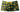 Trunk - Mens Petal Power Pouch Short Male Power 145 - 285 - S - Daisy Print - Male Power_145 - 285_Daisy Print_S - Male Power - 5