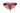 Bikini - Mens PIK Clandestine Velvet Bikini Pikante 1098 - S - Pink - Pikante_1098_Pink_S - Pikante - 5