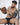 Brief - Mens PIK Itadaki Briefs Pikante 1289 - S - Black - Pikante_1289_Black_S - Pikante - 9