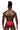 Bikini - Mens Sassy Lace Bikini Solid Pouch Male Power 492 - 280 - S - Red - Male Power_492 - 280_Red_S - Male Power - 3