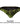 Brief - Mens Space Venom Briefs Doreanse 1257 - PRN - S - Printed - Doreanse_1257 - PRN_Printed_S - Doreanse - 8