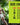 Bikini - Mens Tribe Bikini Clever 1307 - S - Green - Clever - Malebasics