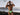 Swim Brief - Mens X4D SW Swim Briefs ErgoWear - S - Black - White - X4D_SW_Swim_Briefs_Black - White_S - ErgoWear - 36