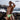 Swim Brief - Mens X4D SW Swim Briefs ErgoWear - S - Black - White - X4D_SW_Swim_Briefs_Black - White_S - ErgoWear - 37