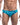 Swim Brief - Oceanico Swim Bikini - Ferns - XL - OC04 - Ferns - XL - Oceanico - 31
