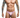 JUSTIN + SIMON Classic Tanga Fun Prints