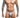 JUSTIN + SIMON Classic Tanga Mesh