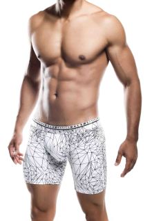 Side View Mens Malebasics New Hipster Boxer Brief Spider